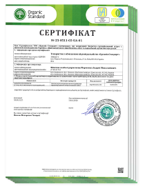 cert-marchenko-2026-home